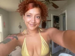 WebCAM di MollyPocket